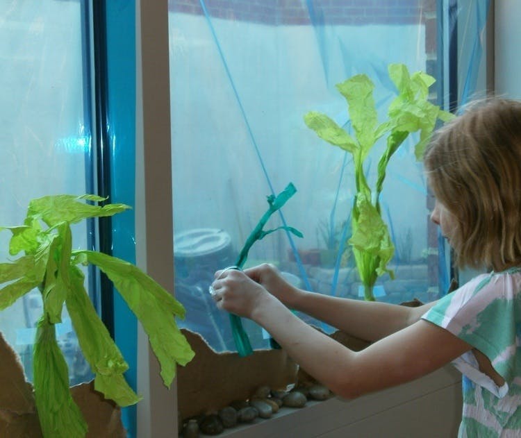 Child's hands holding a green plant stem