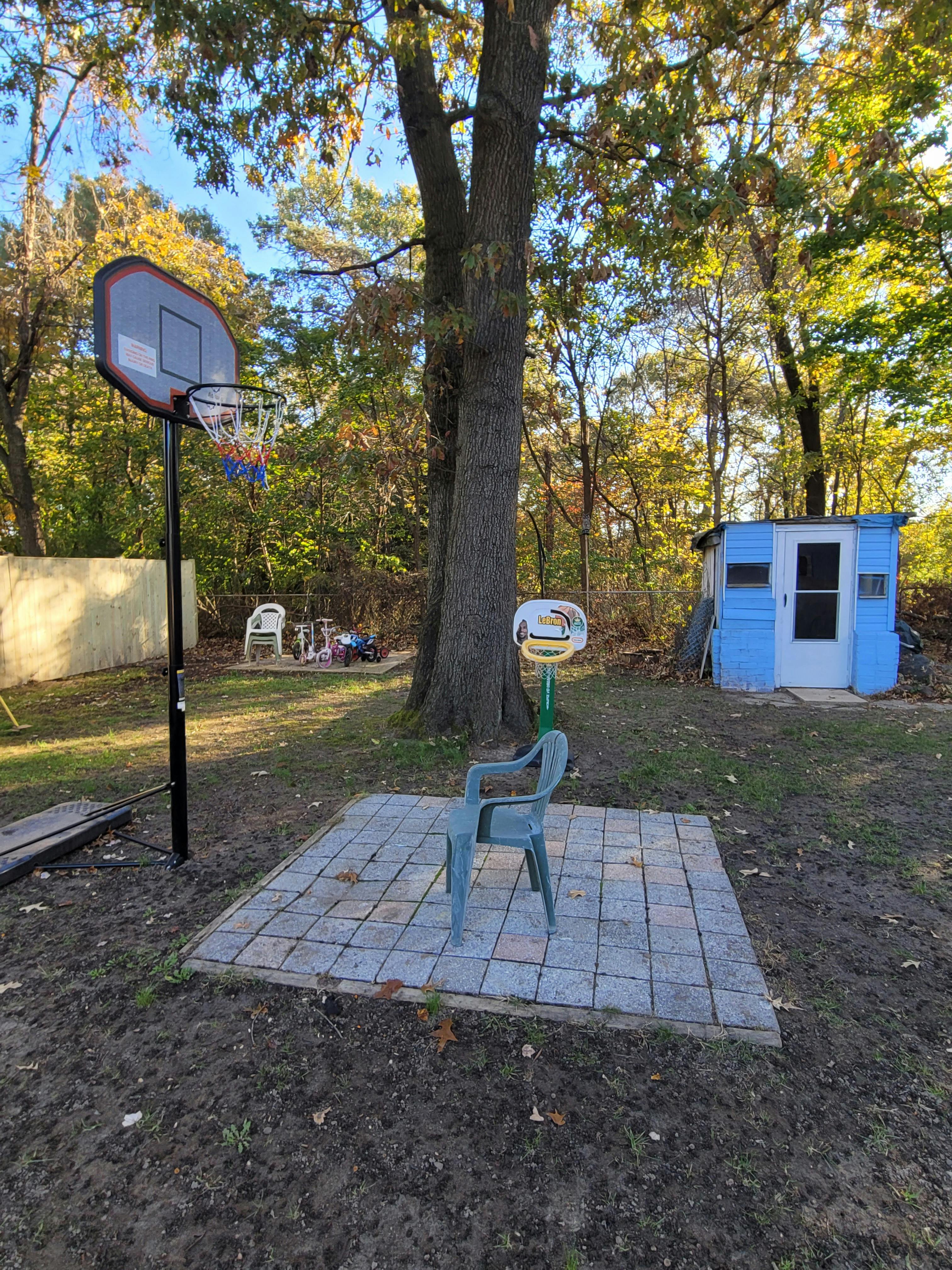 Basketball hoop and small blue shed in a backyard
