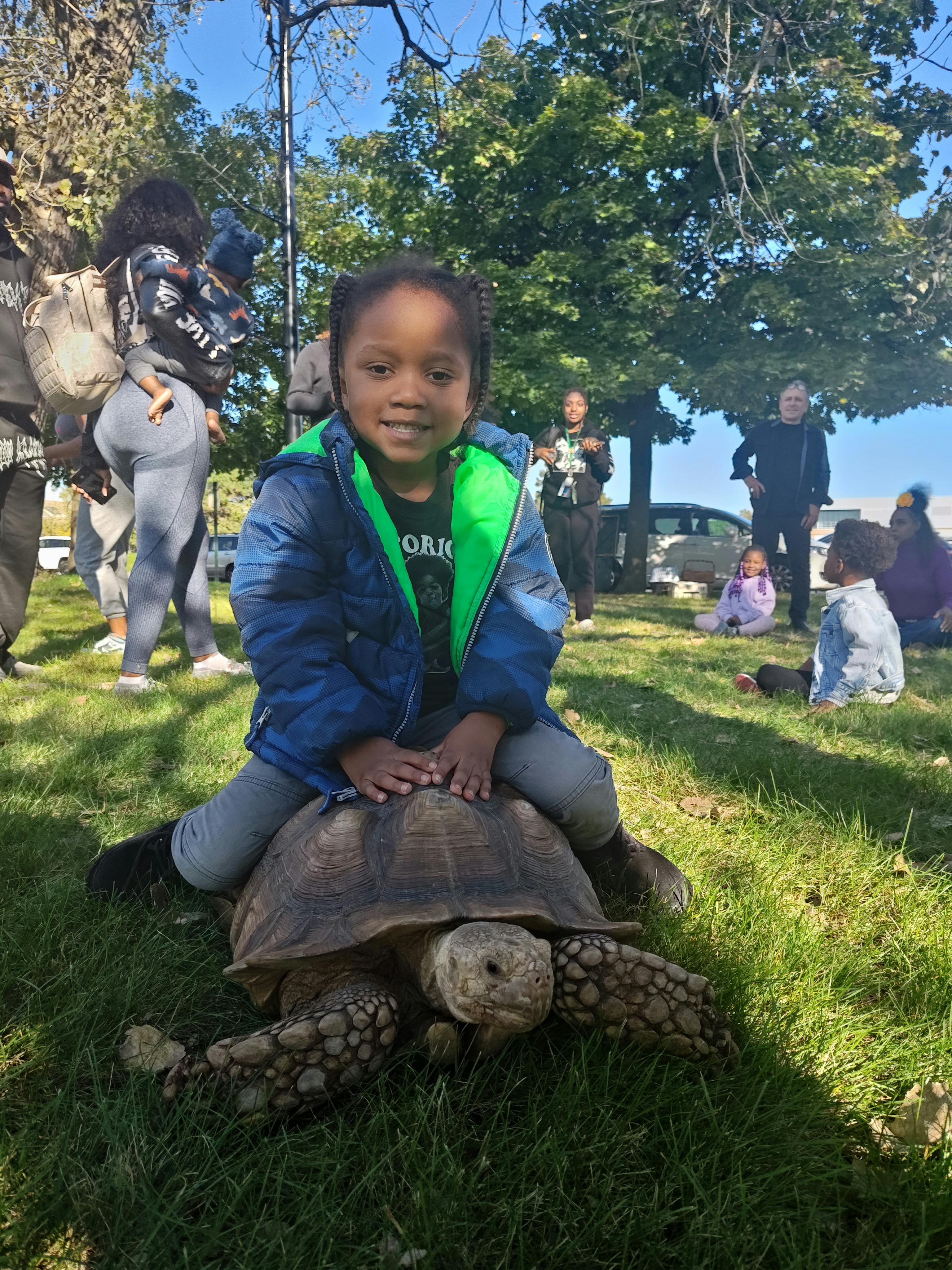 Child sitting on a large tortoise in grass