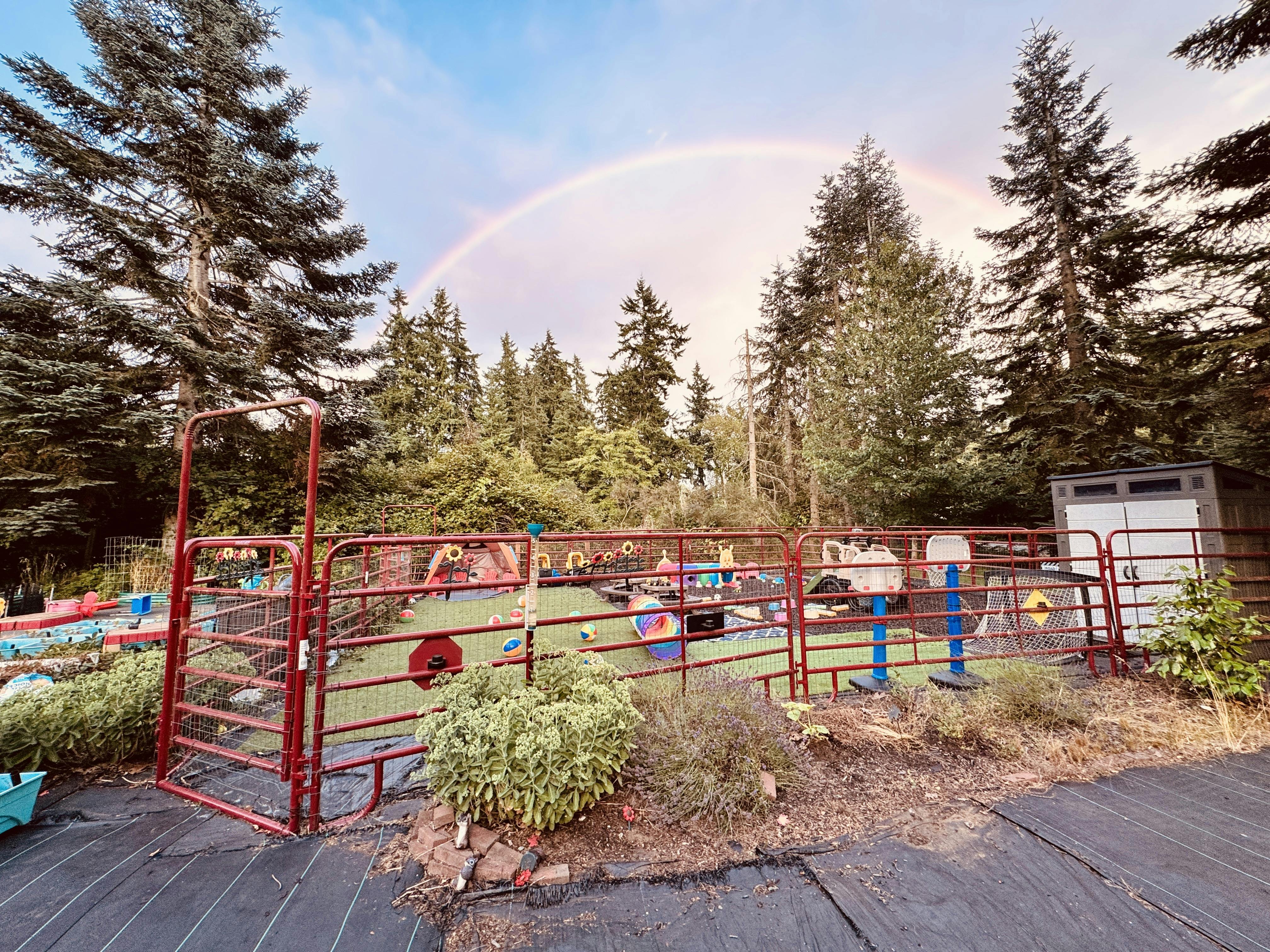 Rainbow over a fenced yard with trees