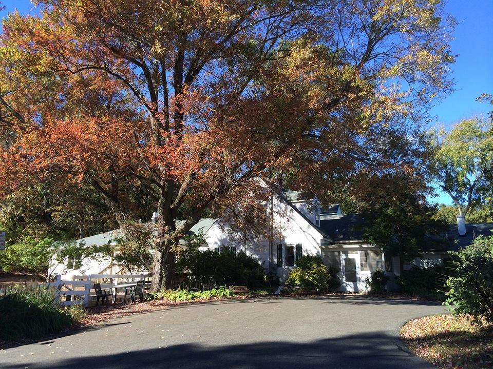 White house with a large tree in front