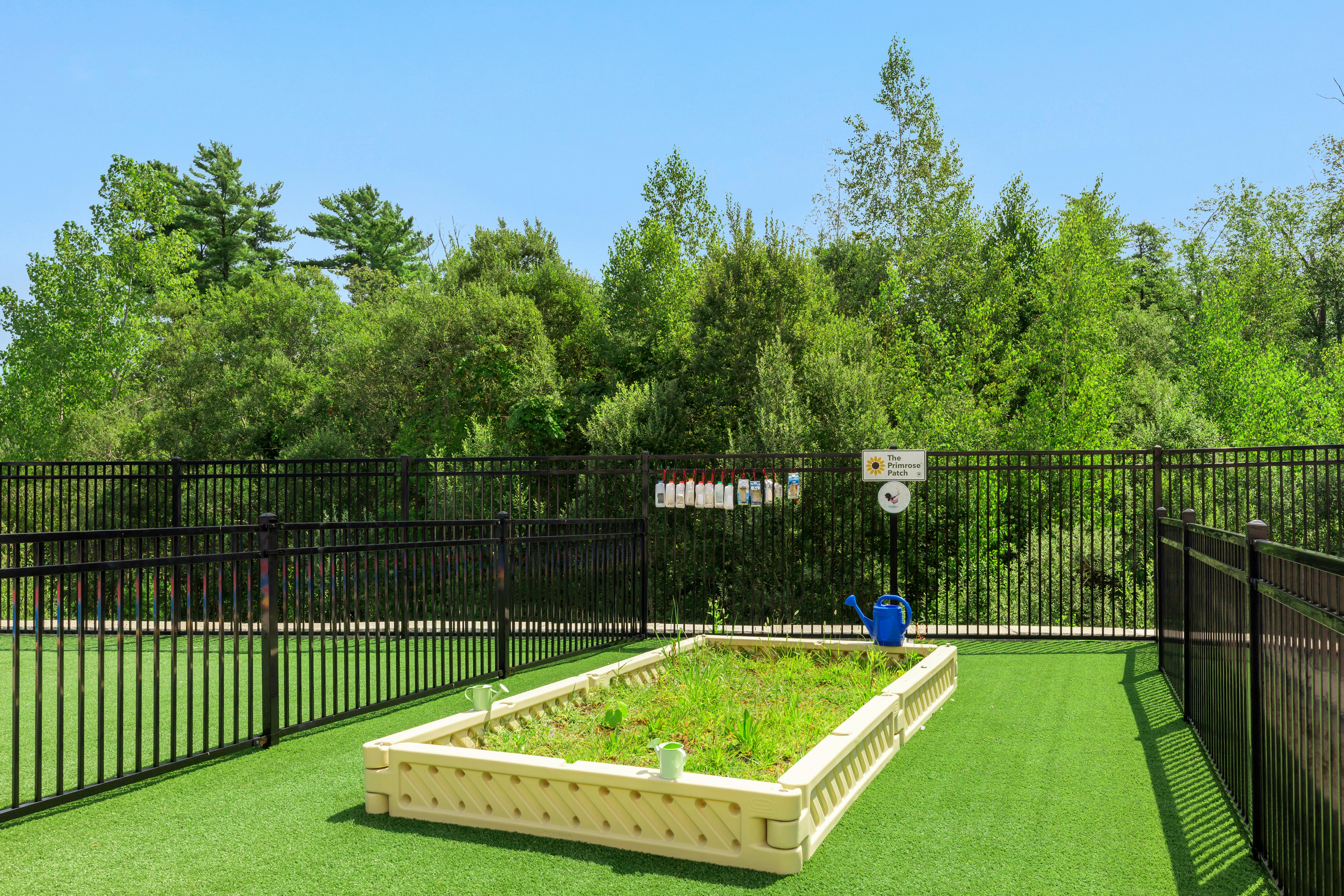 Raised garden bed with green sprouts in an outdoor area with turf