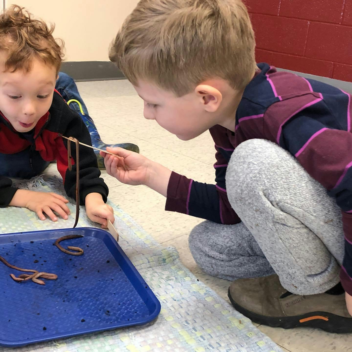 Two children observing worms on a blue tray