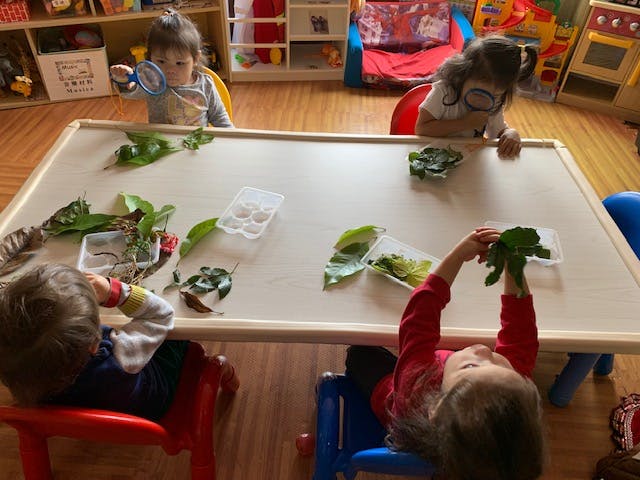 Children at a table with leaves and containers