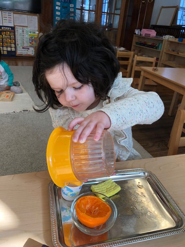 Child using a citrus juicer on a tray