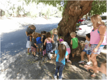 Adults and children gathered under a large tree