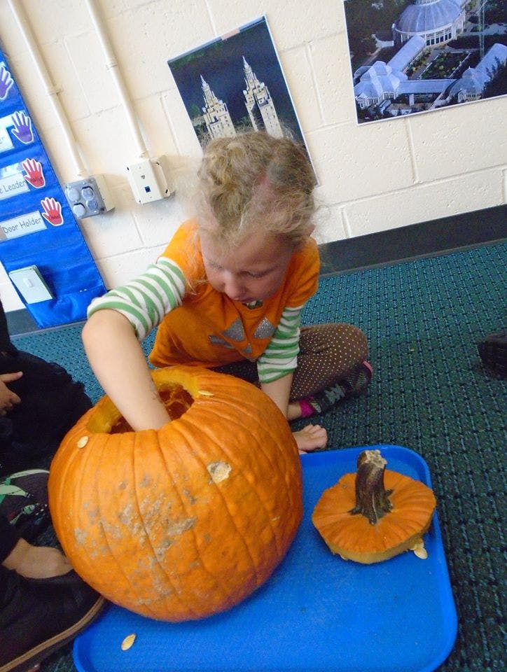 Child reaching into a pumpkin on a blue tray