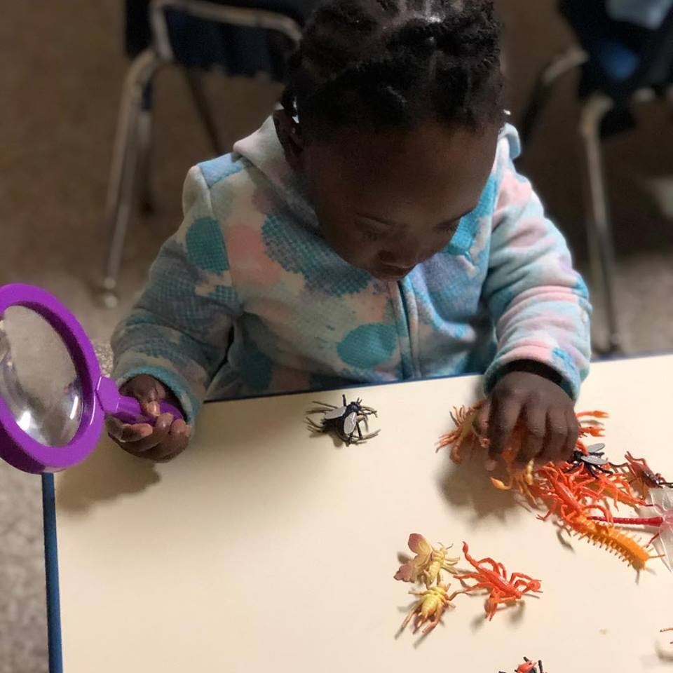 Child looking at toy insects on a table with a magnifying glass