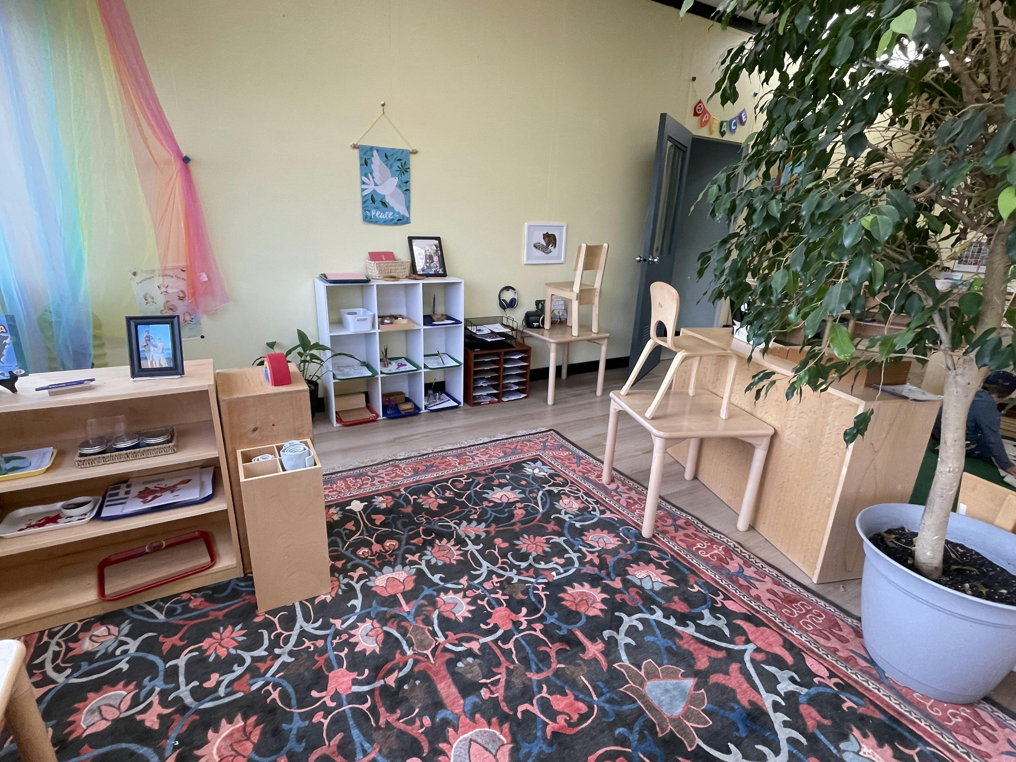 Classroom with small wooden furniture, shelves, a patterned rug, and a large plant