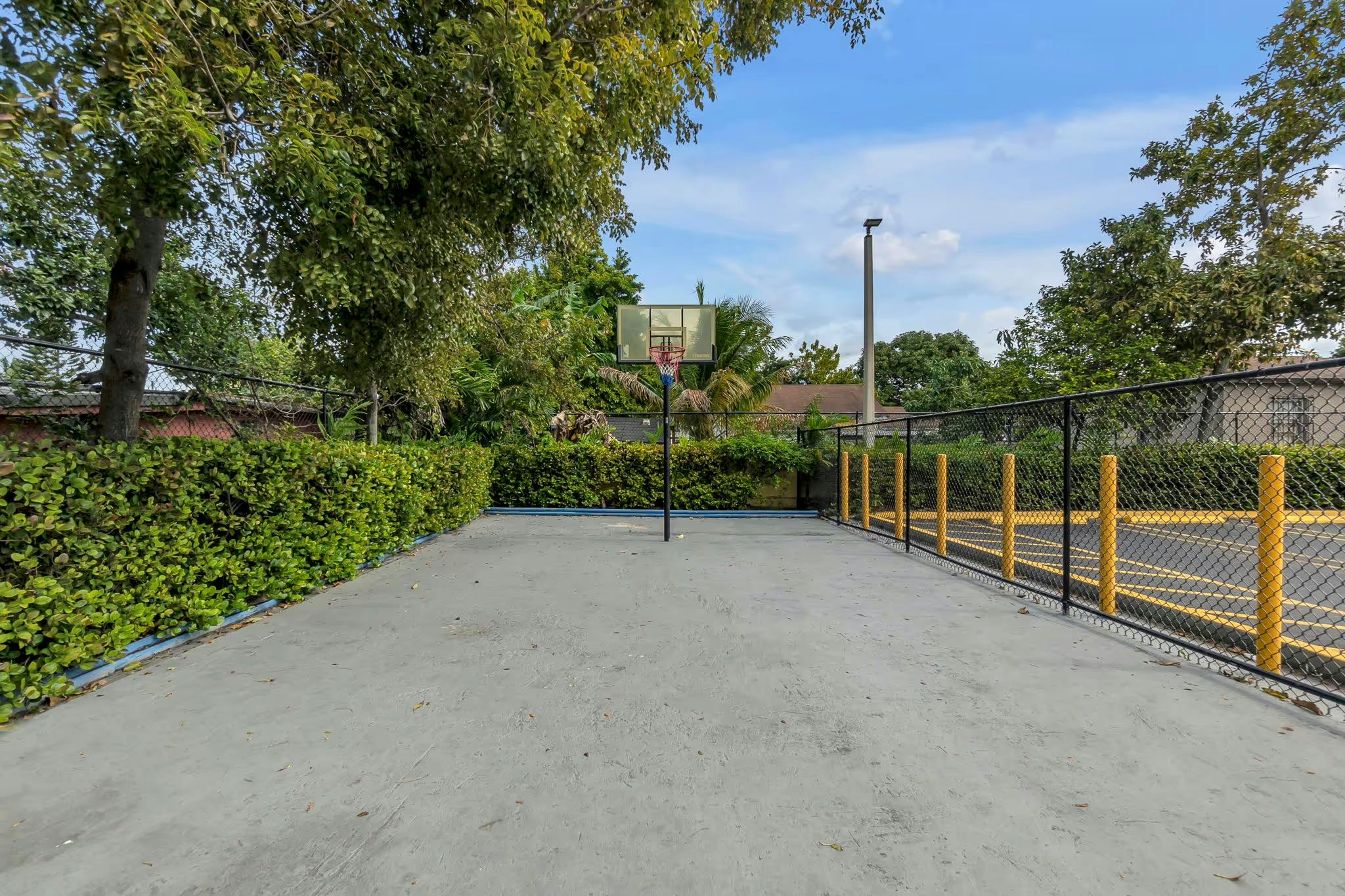 Outdoor basketball court with a hoop and green hedges