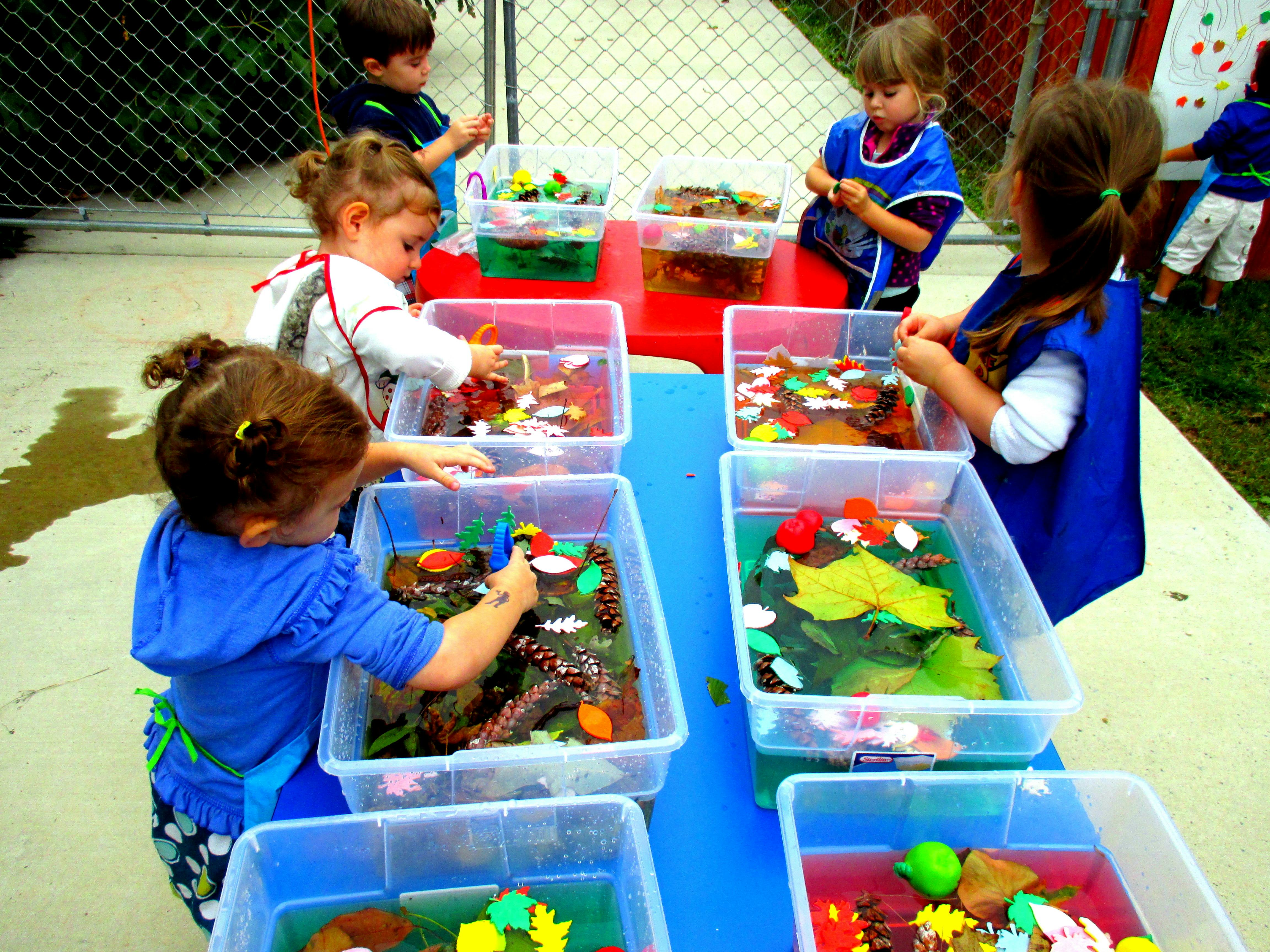 Children playing with sensory bins filled with water and various objects
