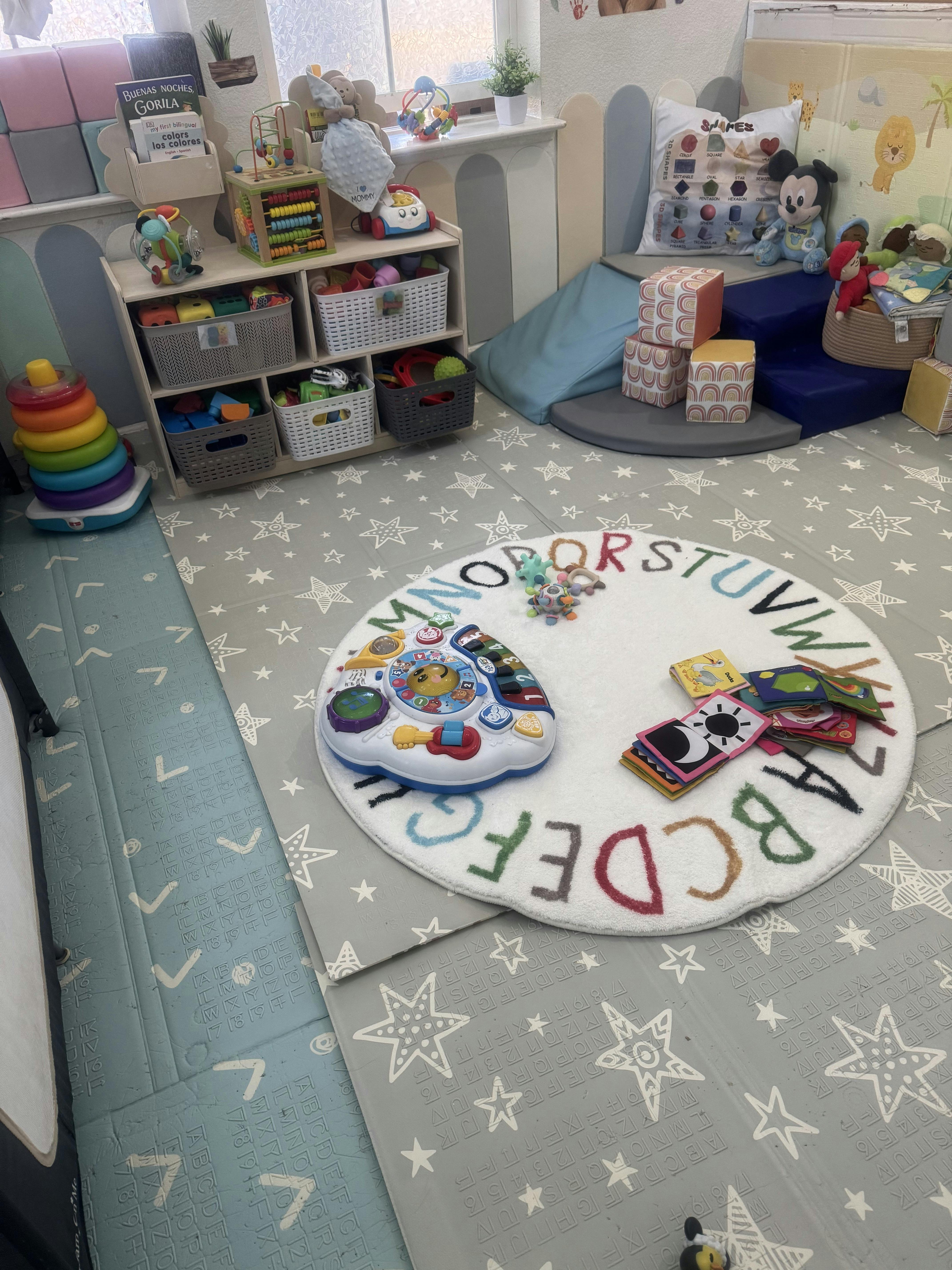 Playroom with toys organized on shelves and an alphabet rug on the floor