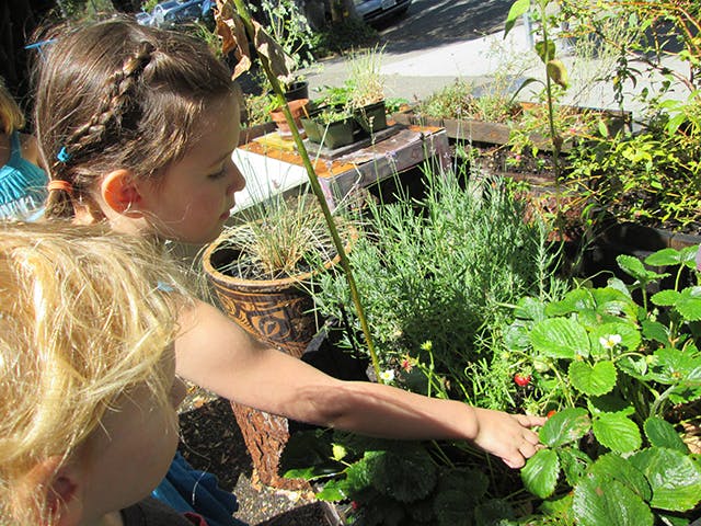 The Room to Grow Preschool Preschool in Oakland, CA Winnie