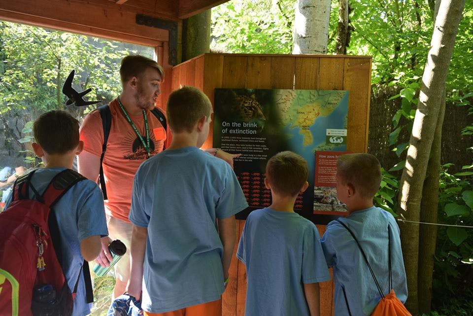 Adult and three children looking at an informational display outdoors