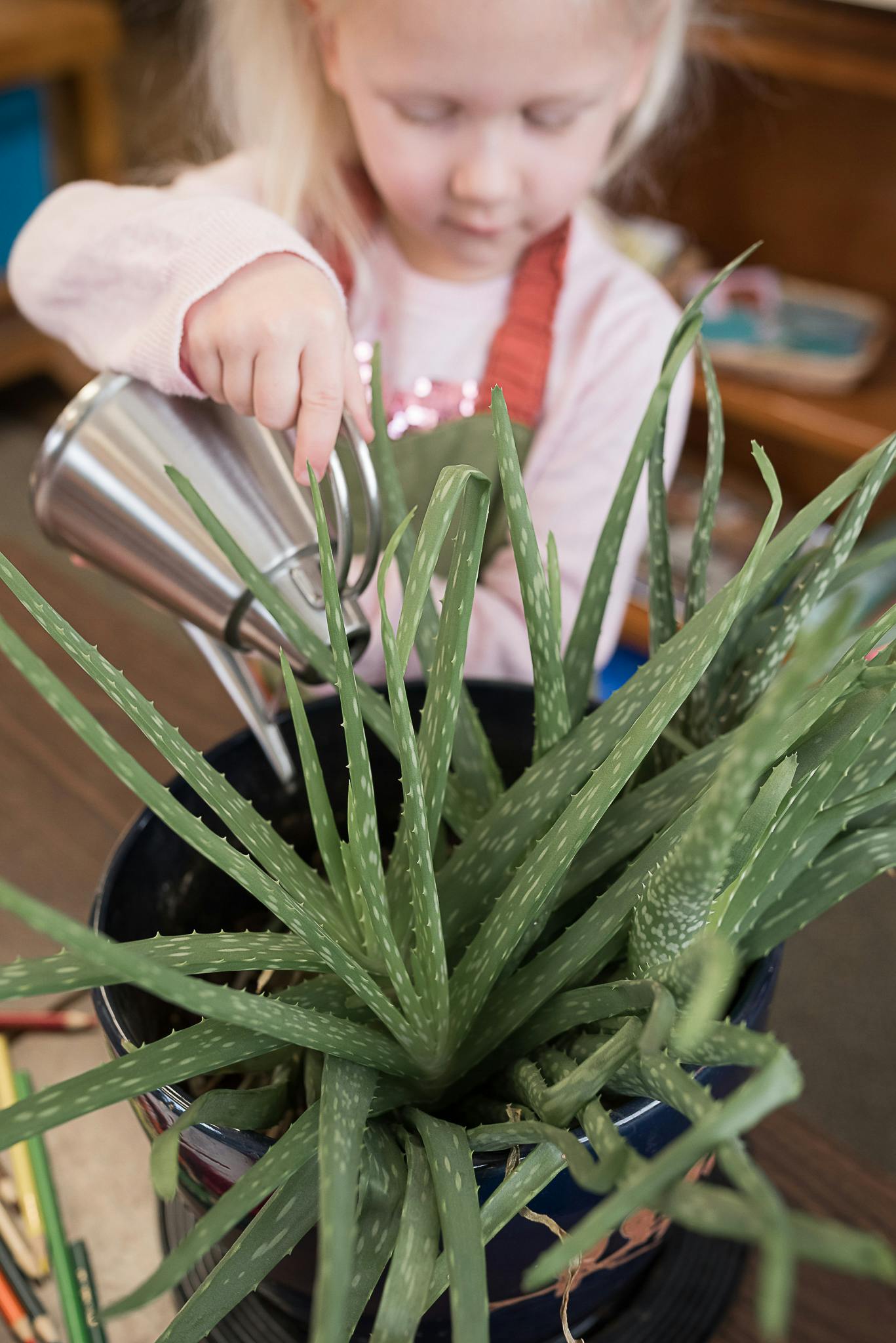 Child watering a potted plant with a small watering can