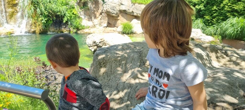 Two children looking at a waterfall and pond