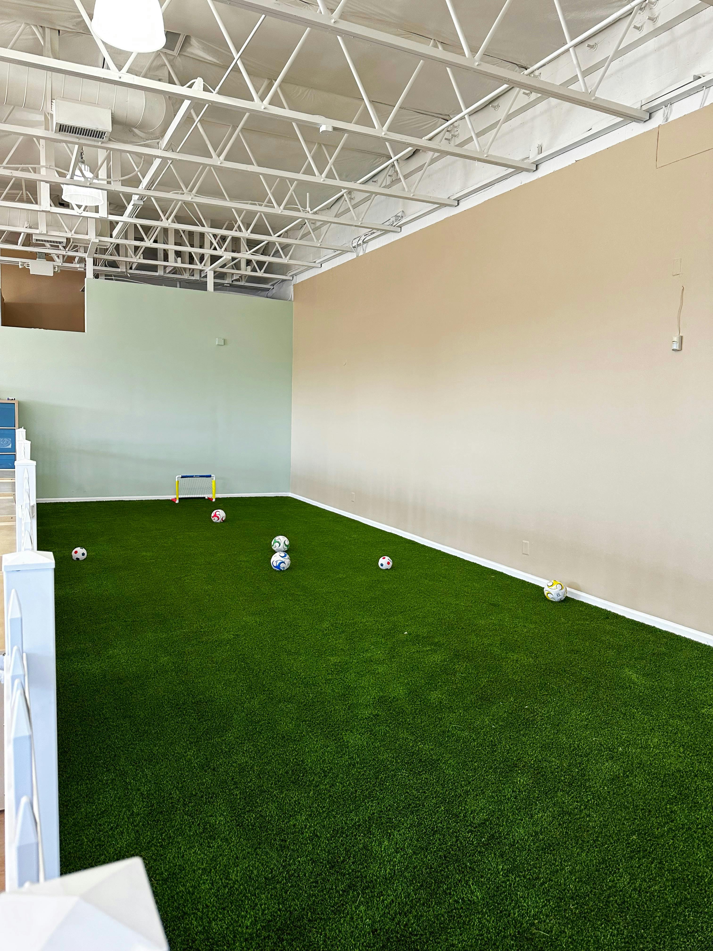 Indoor turf field with multiple soccer balls and a small goal