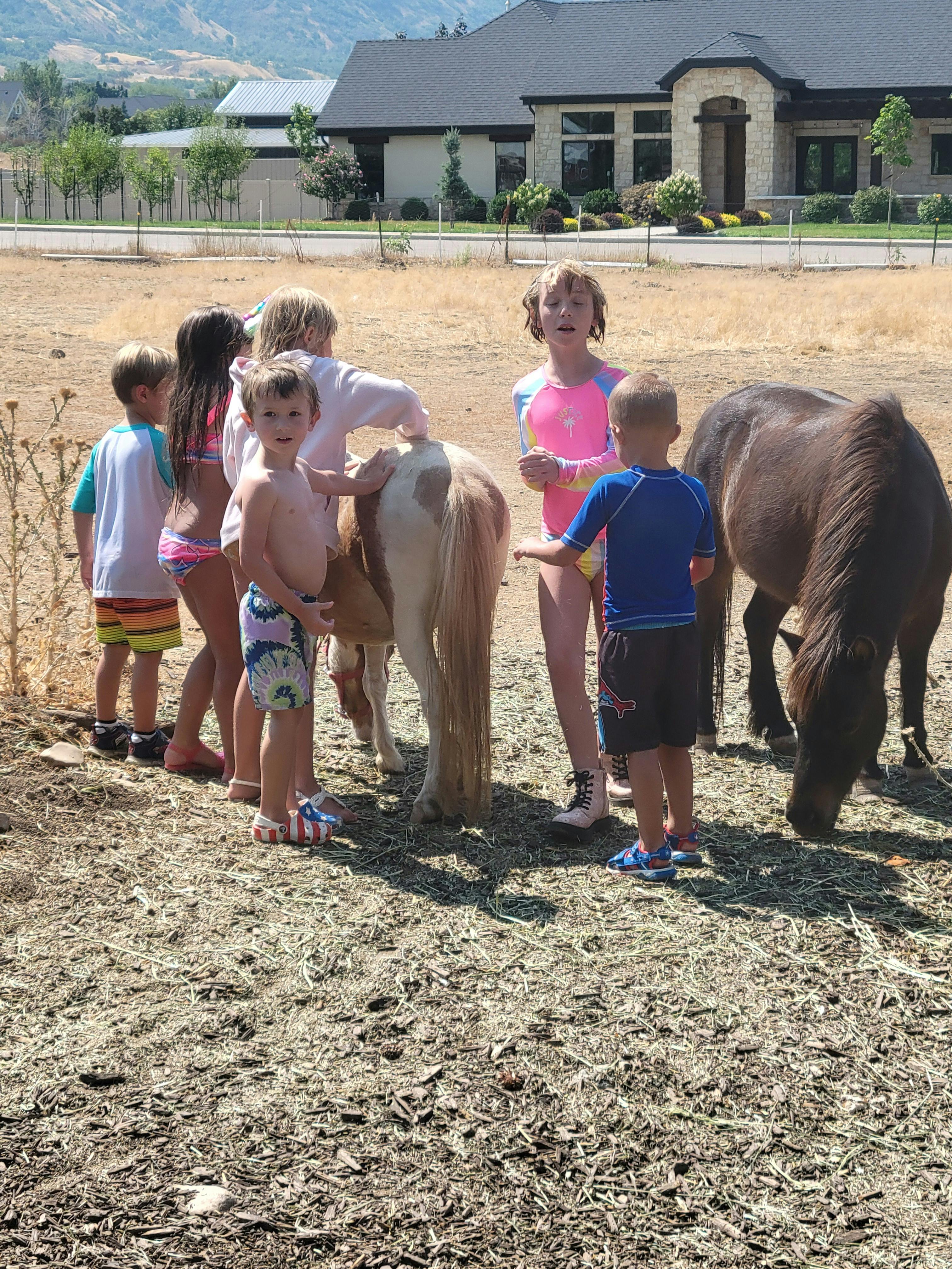 Children interacting with two ponies in a dry field