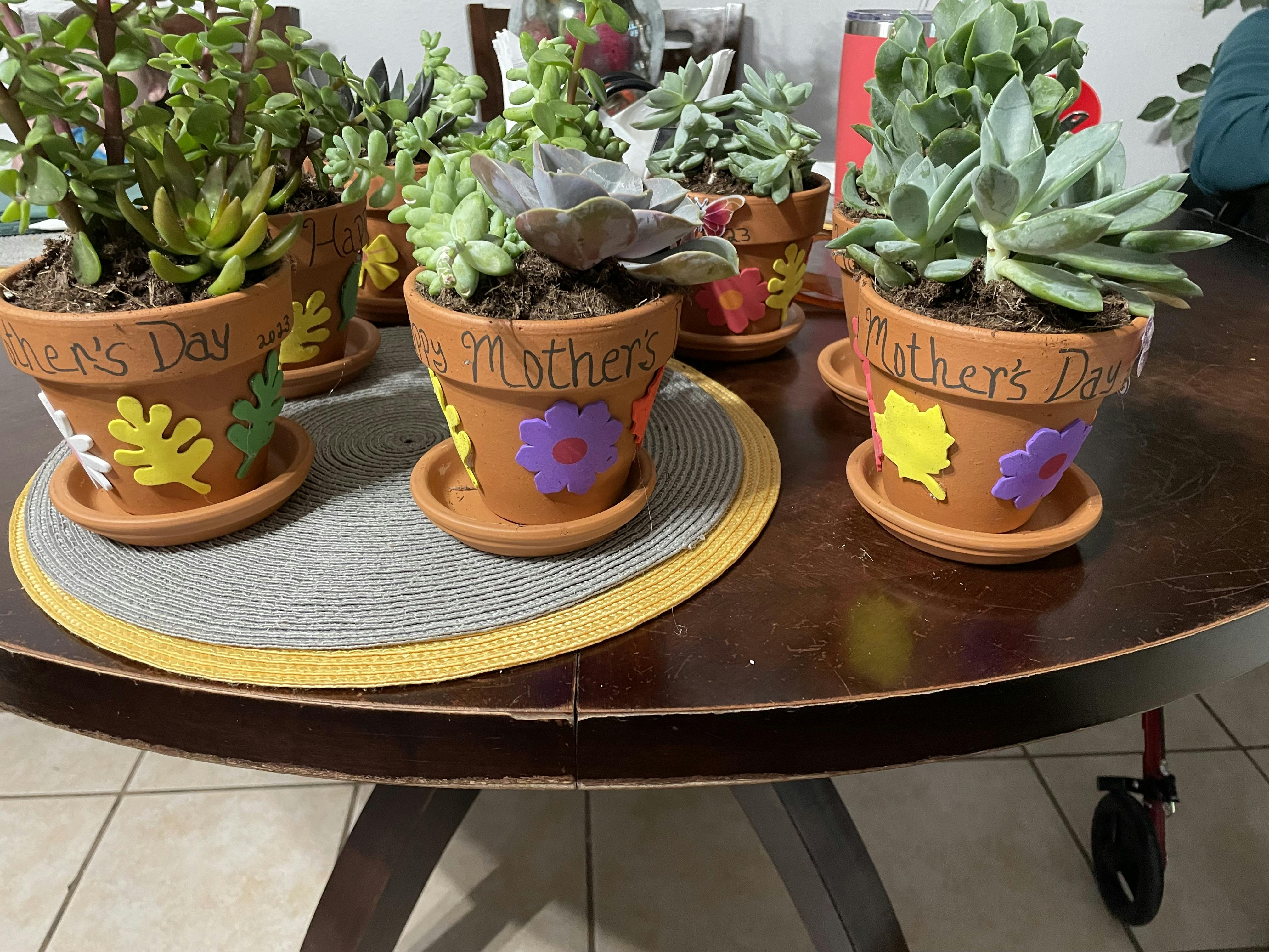 Potted succulent plants on a table, round wooden table