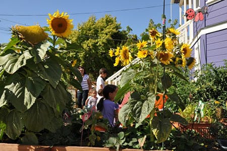 People and children in a garden with sunflowers