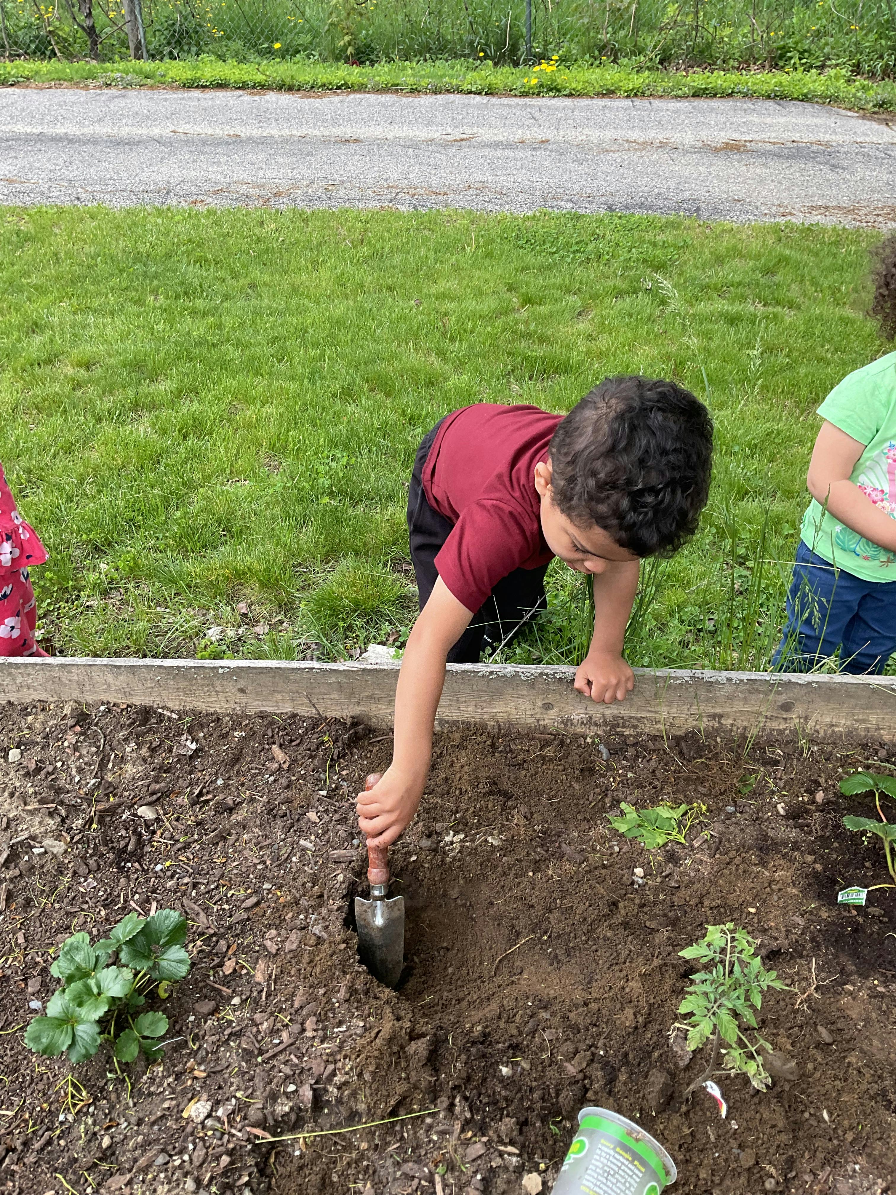 Child using a small hand trowel to dig in a wooden garden bed