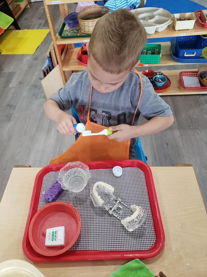 Child squeezing toothpaste onto a toothbrush over a dental model