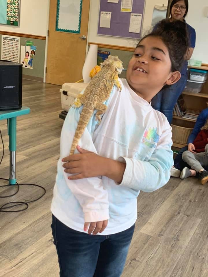 Child with a bearded dragon on their shoulder in a classroom