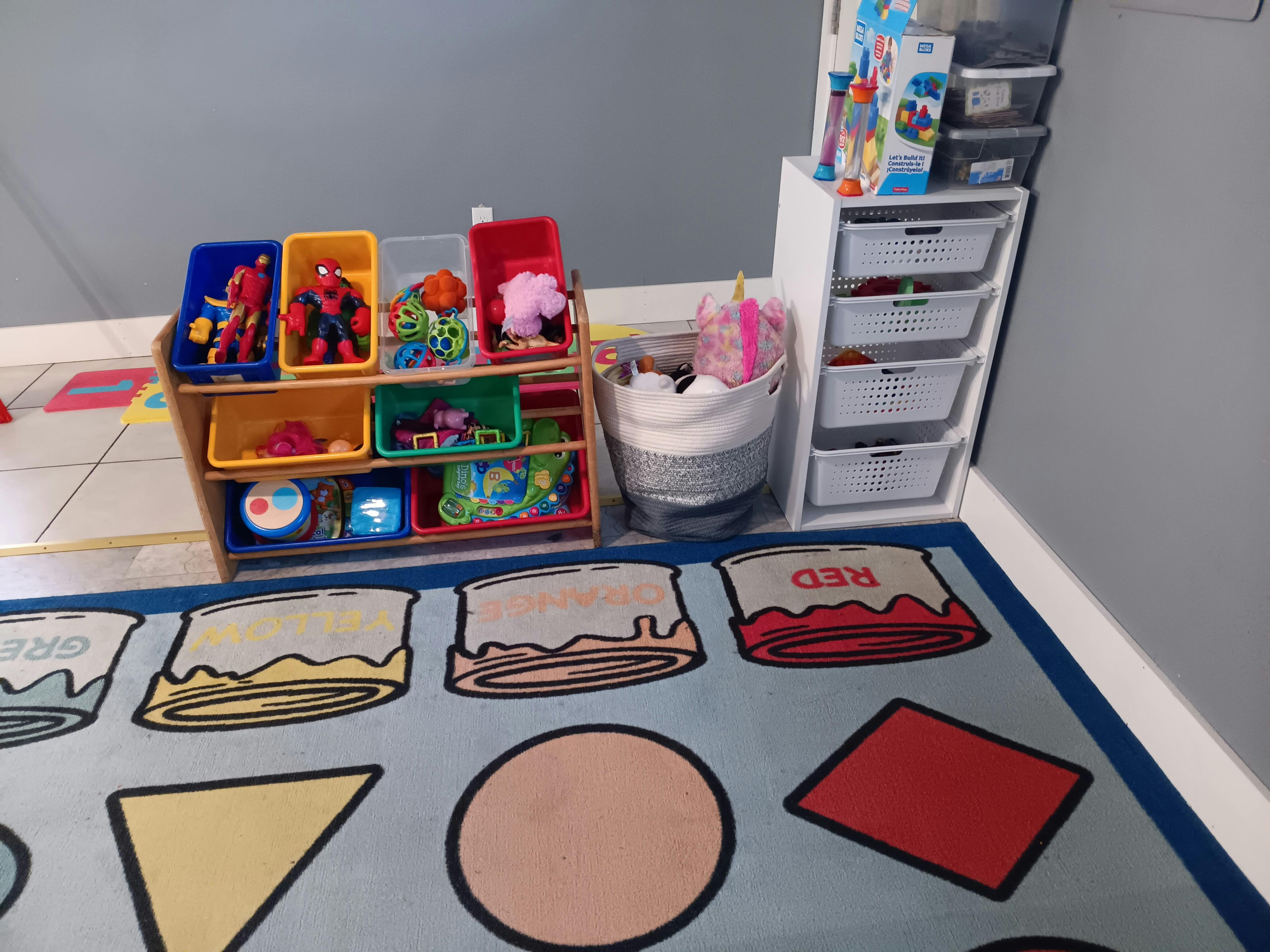 Toy storage bins and shelves in a room with a patterned rug