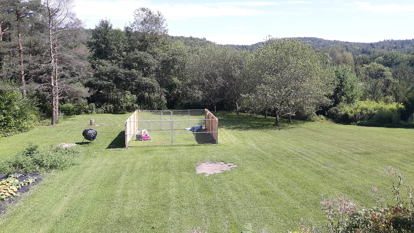 Fenced enclosure in a grassy field with trees and hills in the background