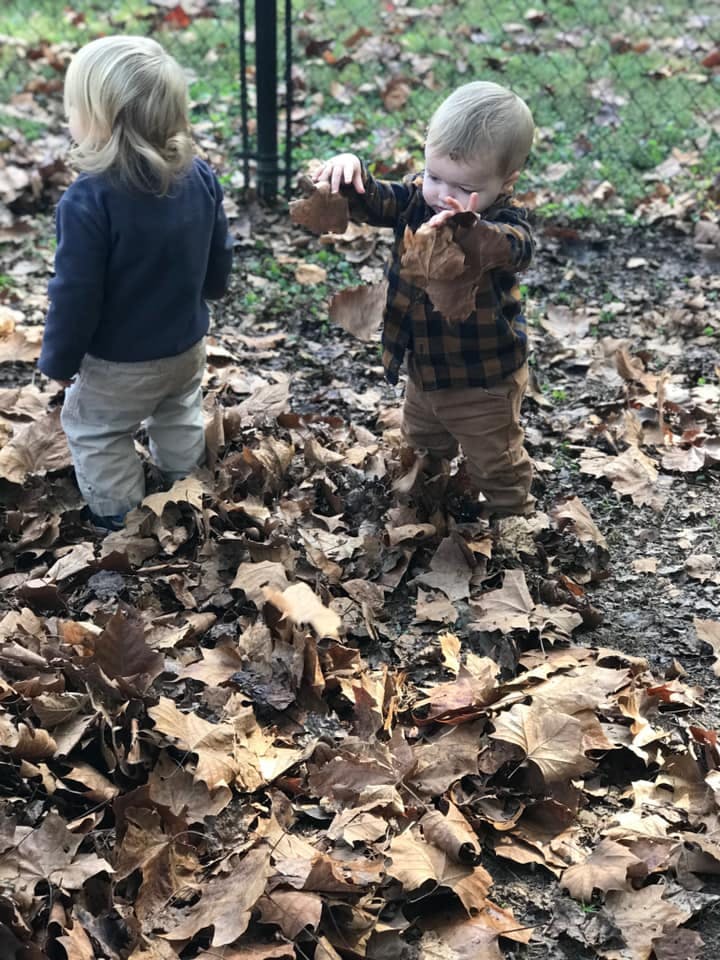 Two children playing in a pile of autumn leaves