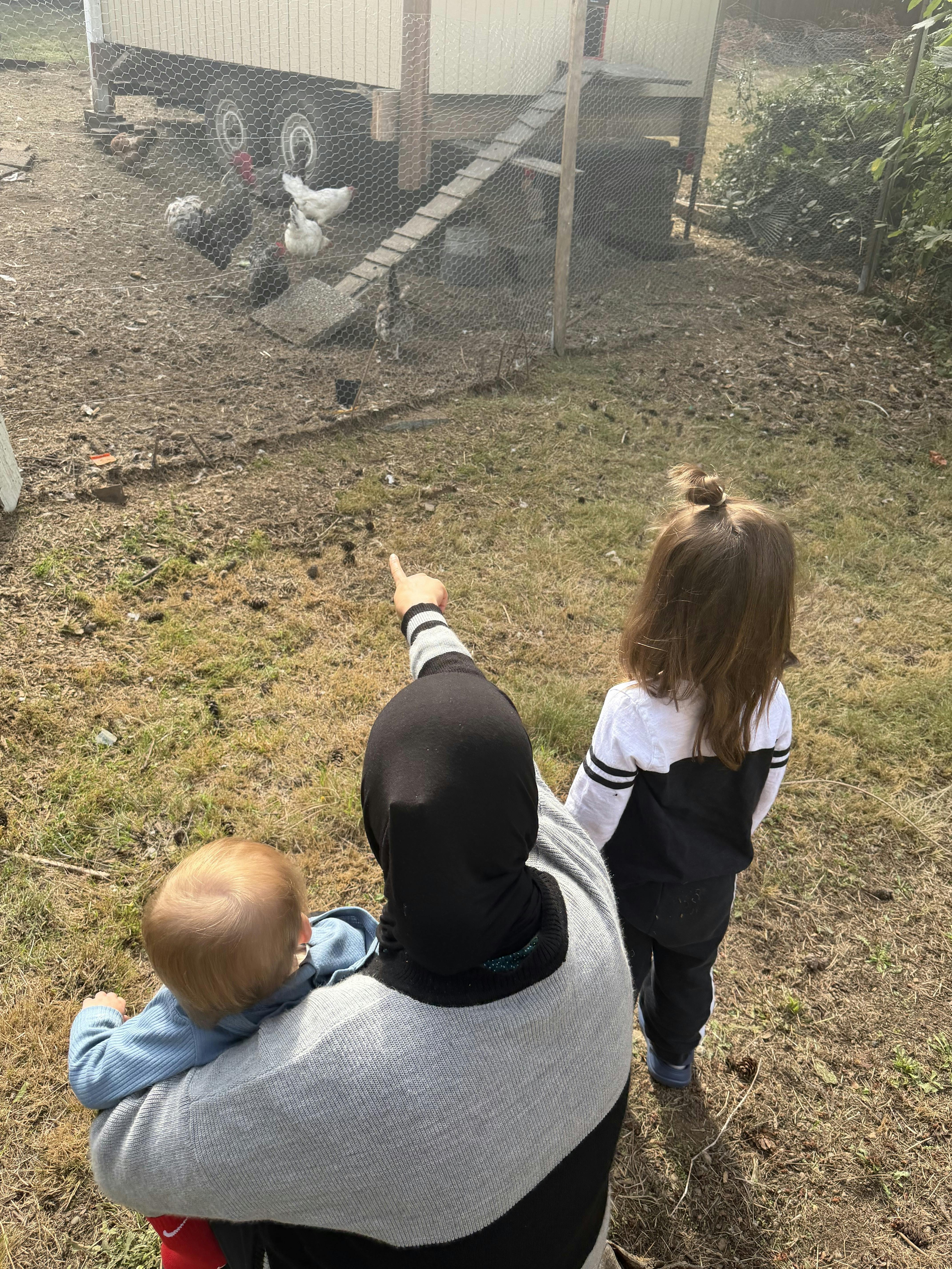 Person holding a child and pointing at chickens in an outdoor enclosure