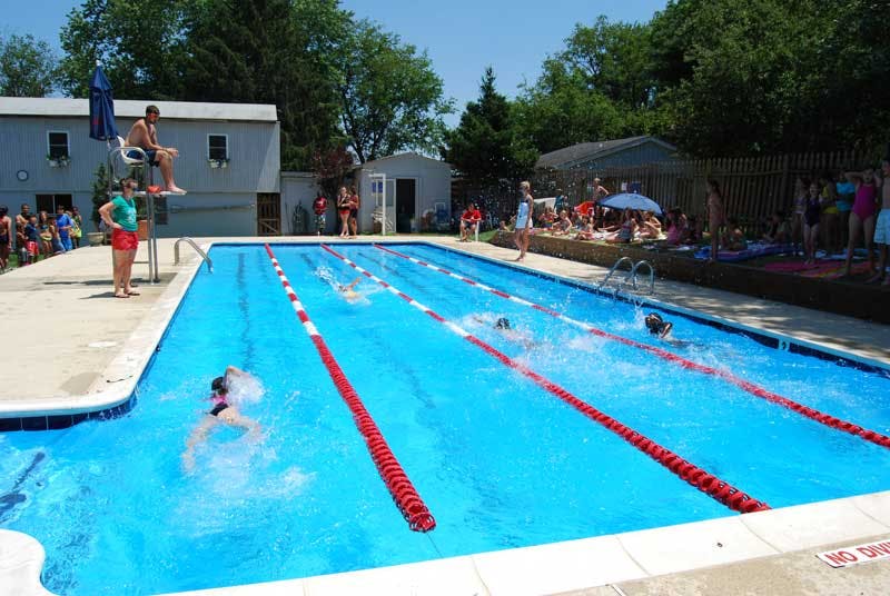 People swimming laps in a pool with lane lines