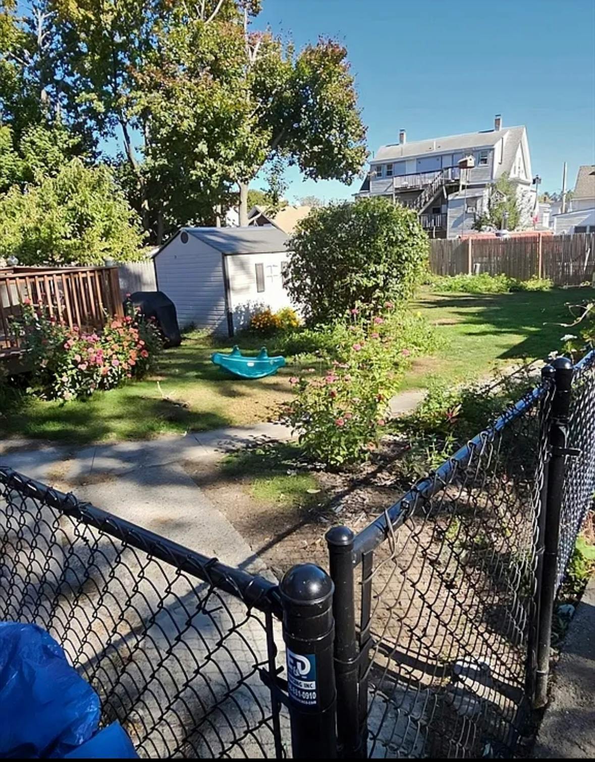 Backyard with a shed, green lawn, and chain link fence in the foreground