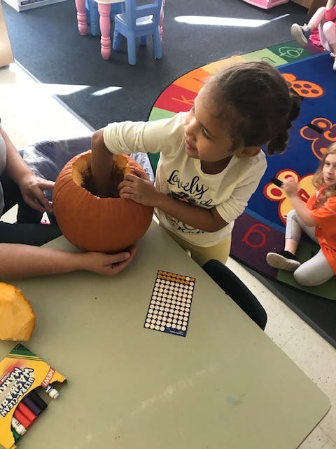 Child reaching into a pumpkin on a table