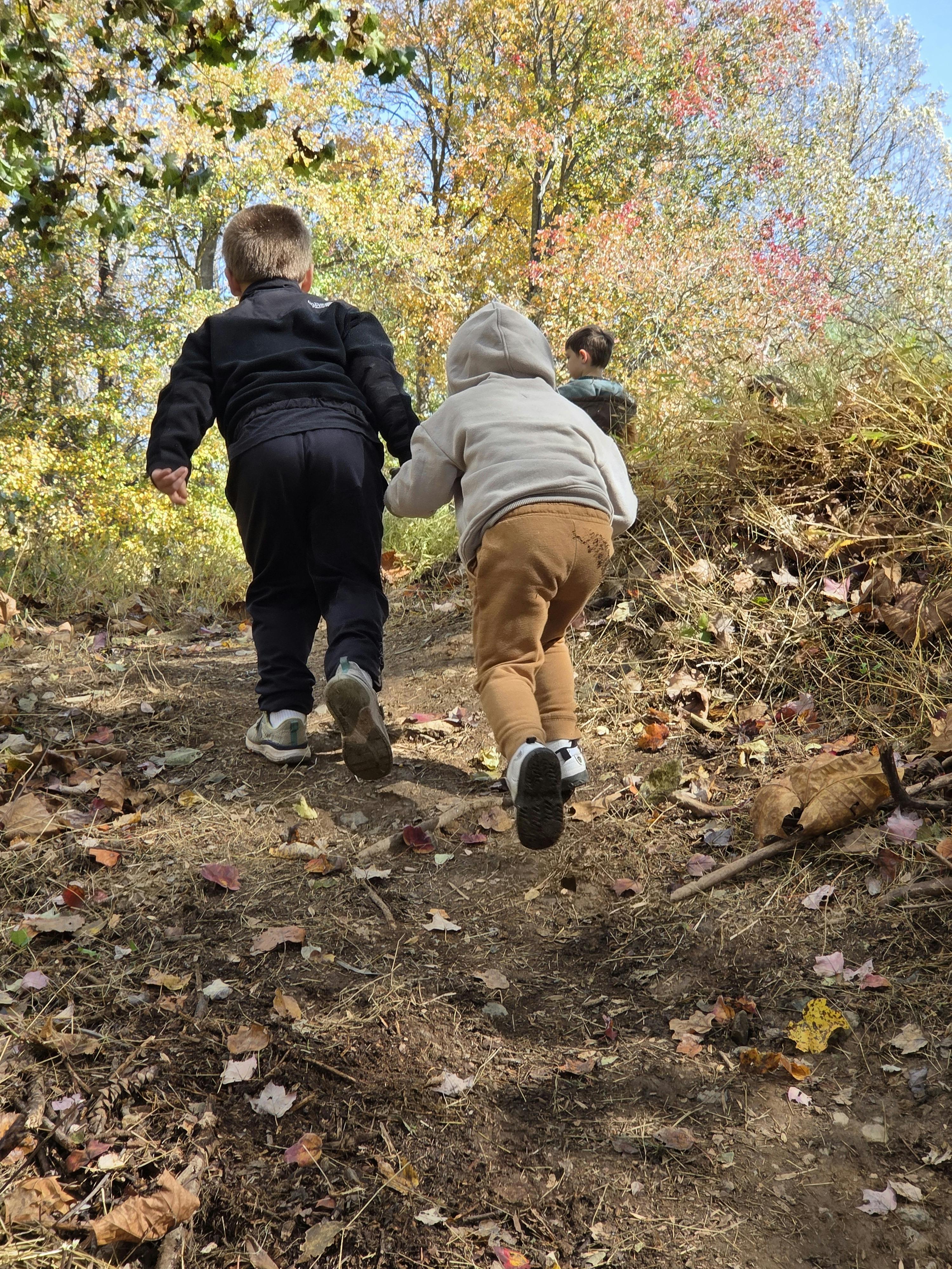 two children walking up a leaf-covered hill into the woods