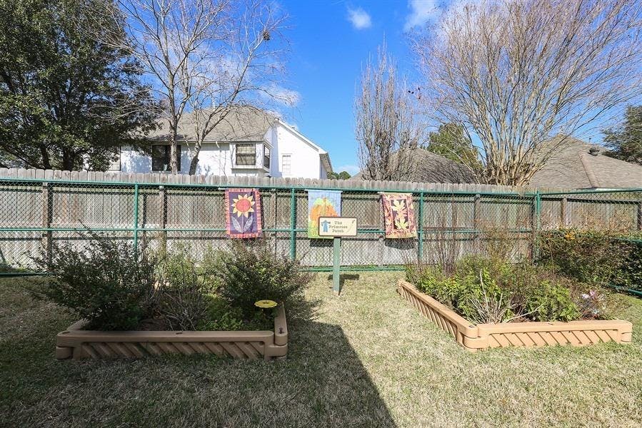 Two raised garden beds with plants in a backyard