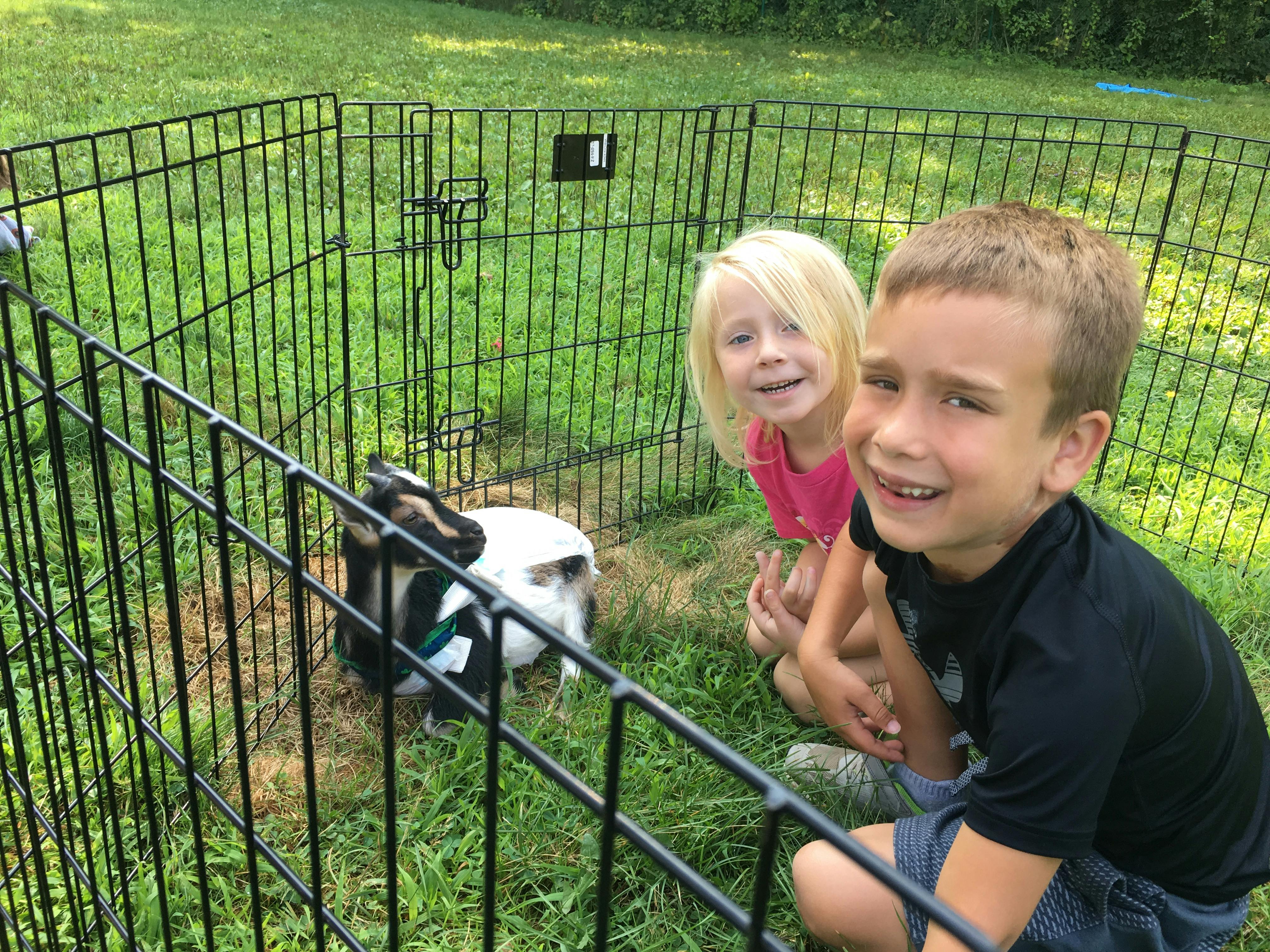 Two children looking at a small animal in a fenced enclosure