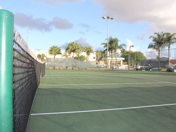 Tennis court with net and palm trees