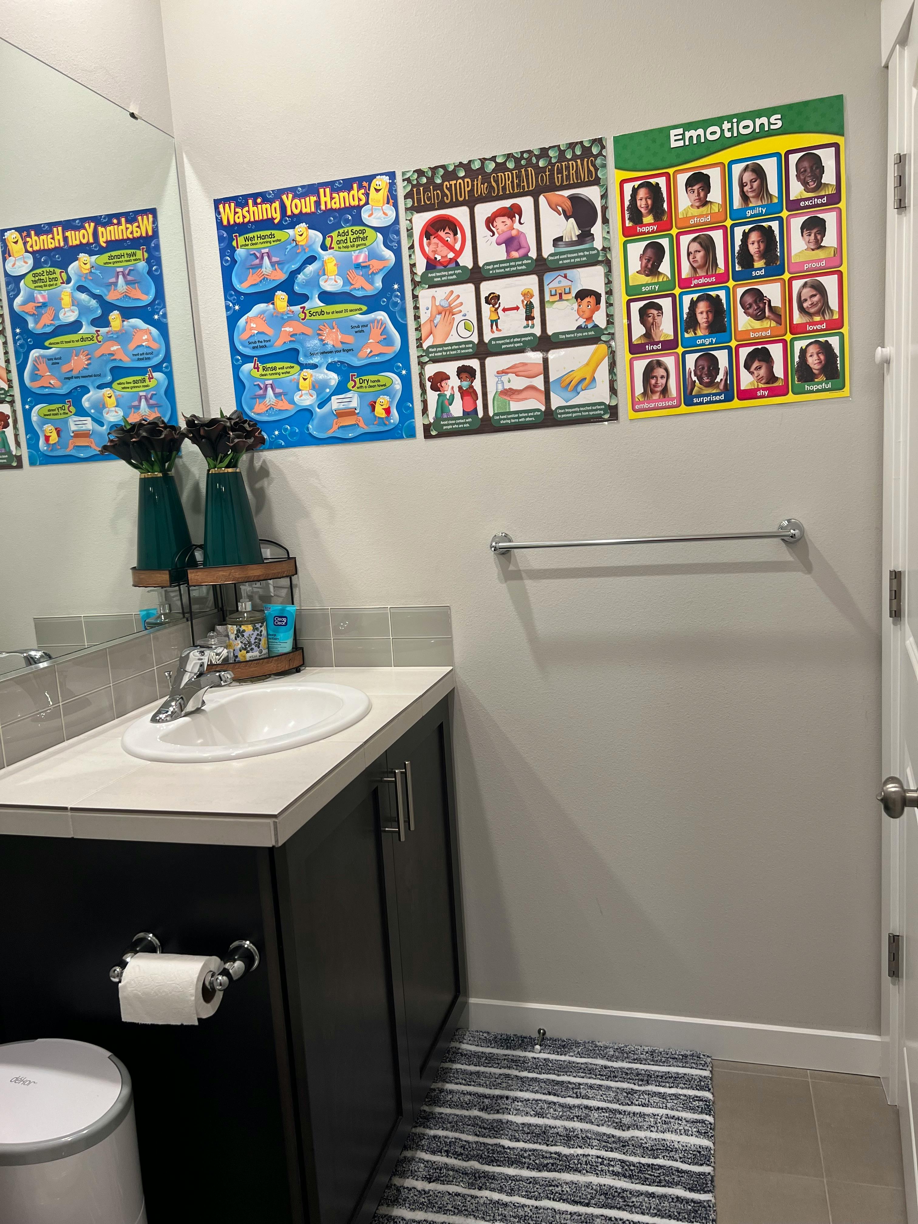 Bathroom vanity with sink, mirror, and educational posters on the wall