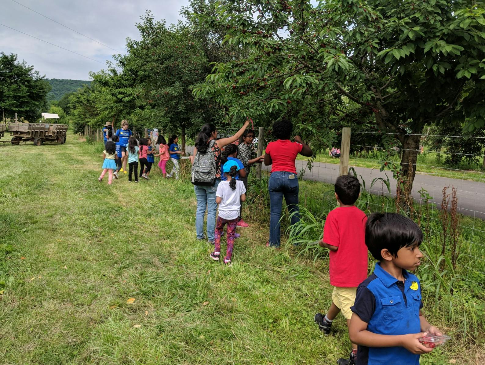 People and children picking fruit from trees in a field