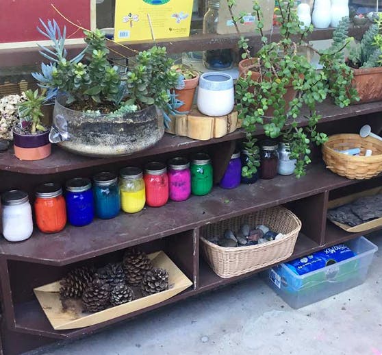 Shelves with potted plants, colorful jars, pinecones, and baskets
