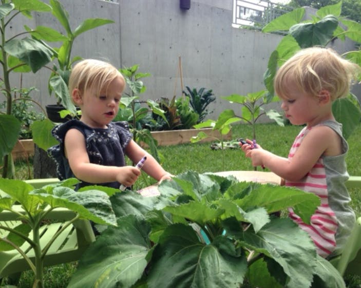 Two children playing with plants in a garden