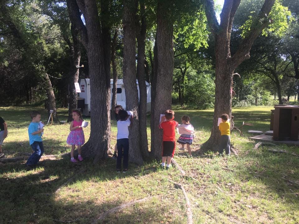 Children playing around trees outdoors