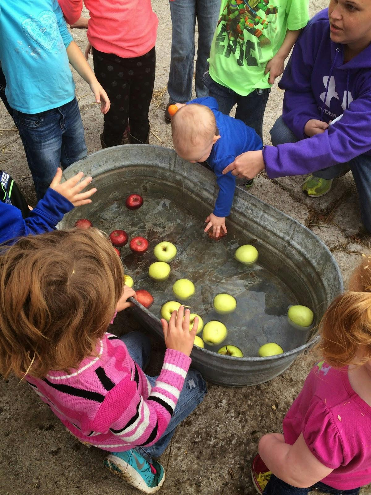 Children bobbing for apples in a metal tub
