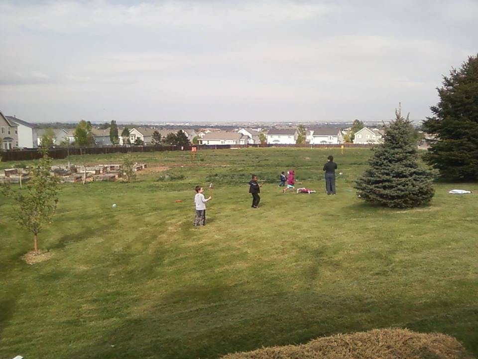 People playing in a grassy field with houses in the background