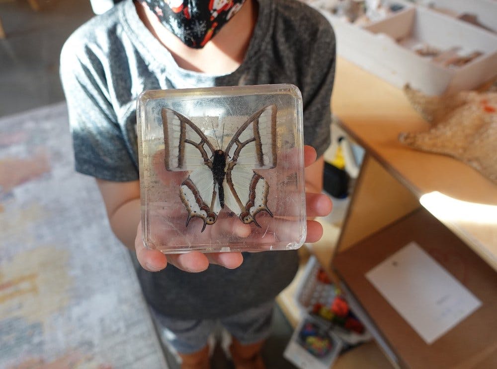 Child holding a clear block with a preserved butterfly inside
