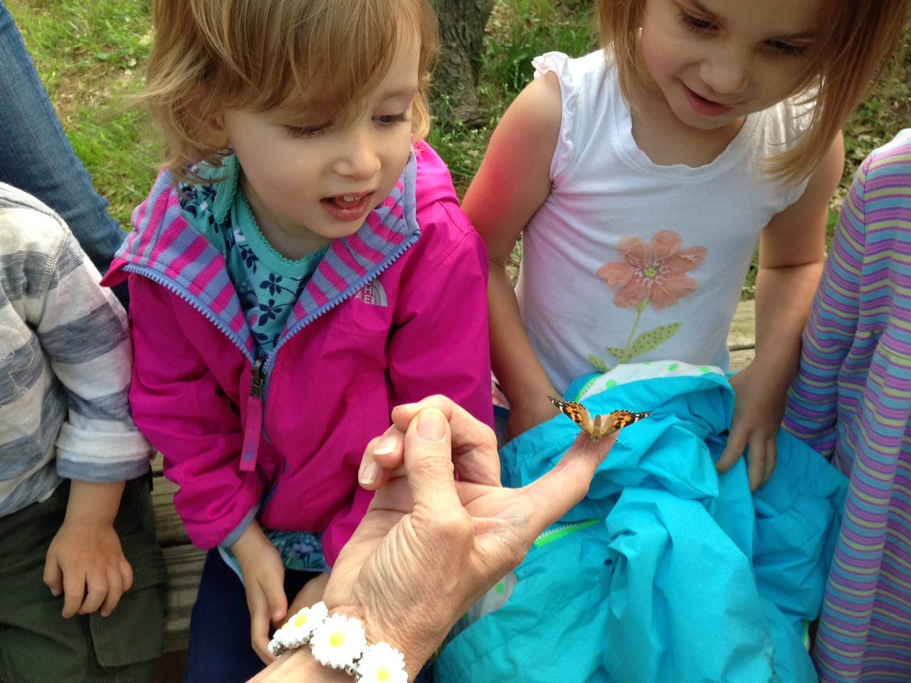 Children looking at a butterfly on a person's finger