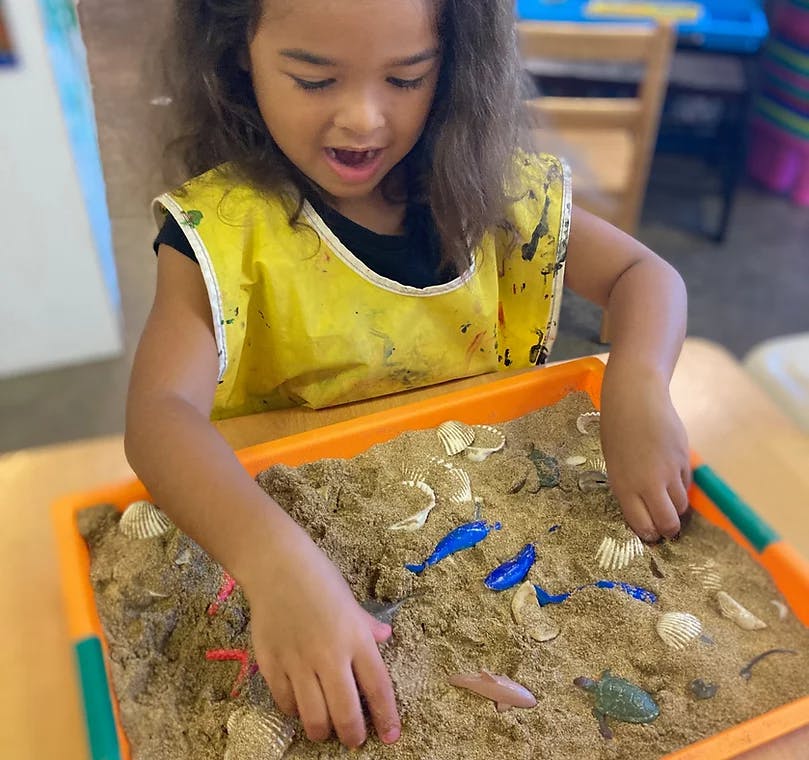 Child playing with sand, shells, and toy animals in a tray