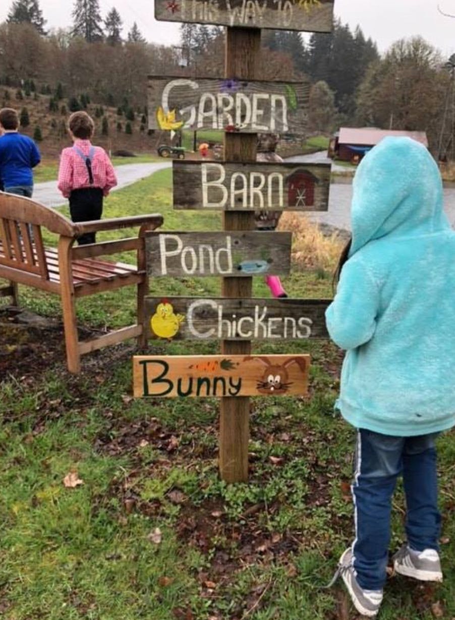Child in blue hoodie looking at a wooden signpost with directions to Garden, Barn, Pond, Chickens, Bunny