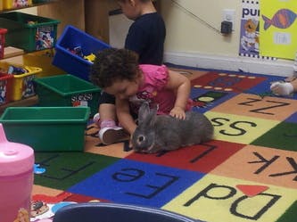 Child petting a rabbit on a colorful alphabet rug